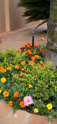 Garden Services Midstream
