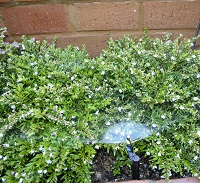 Garden Services Midstream