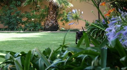 Garden Services Midstream