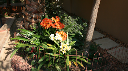 Garden Services Midstream